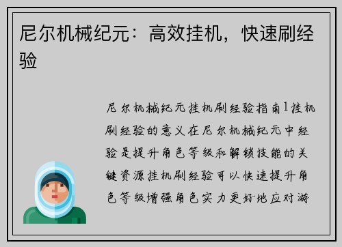 尼尔机械纪元：高效挂机，快速刷经验